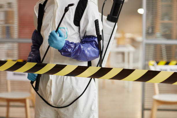 Professional Sewage Cleanup technician working in Richwood, NJ